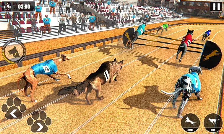 Cách Chơi Game Nhanh Đua Chó Tại 69VN Hấp Dẫn Kịch Tính