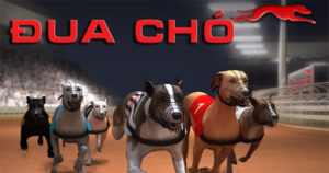 Cách Chơi Game Nhanh Đua Chó Tại 69VN Hấp Dẫn Kịch Tính